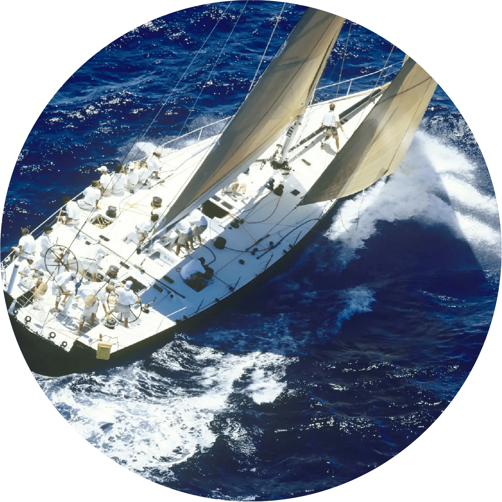 アダプタビリティで変化の風を捉え、前進する。